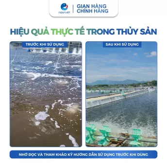 Bột khử khuẩn Chloramine B